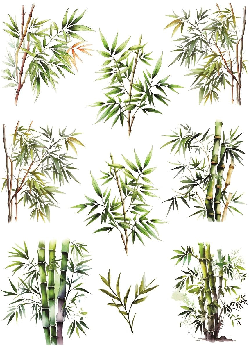 Bamboo Rice Paper, 29.21 x 40.64 cm - 9 Unique Bamboo Images Printed on 36gsm Mulberry Paper Visible Fibres for Decoupage Furniture Renovation Crafts.