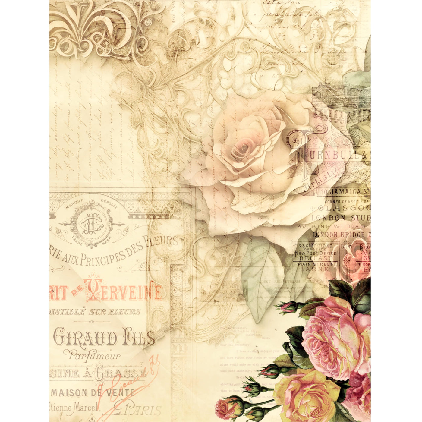 e1c08dc2-8f77-44a8-af8b-a47694a911d2