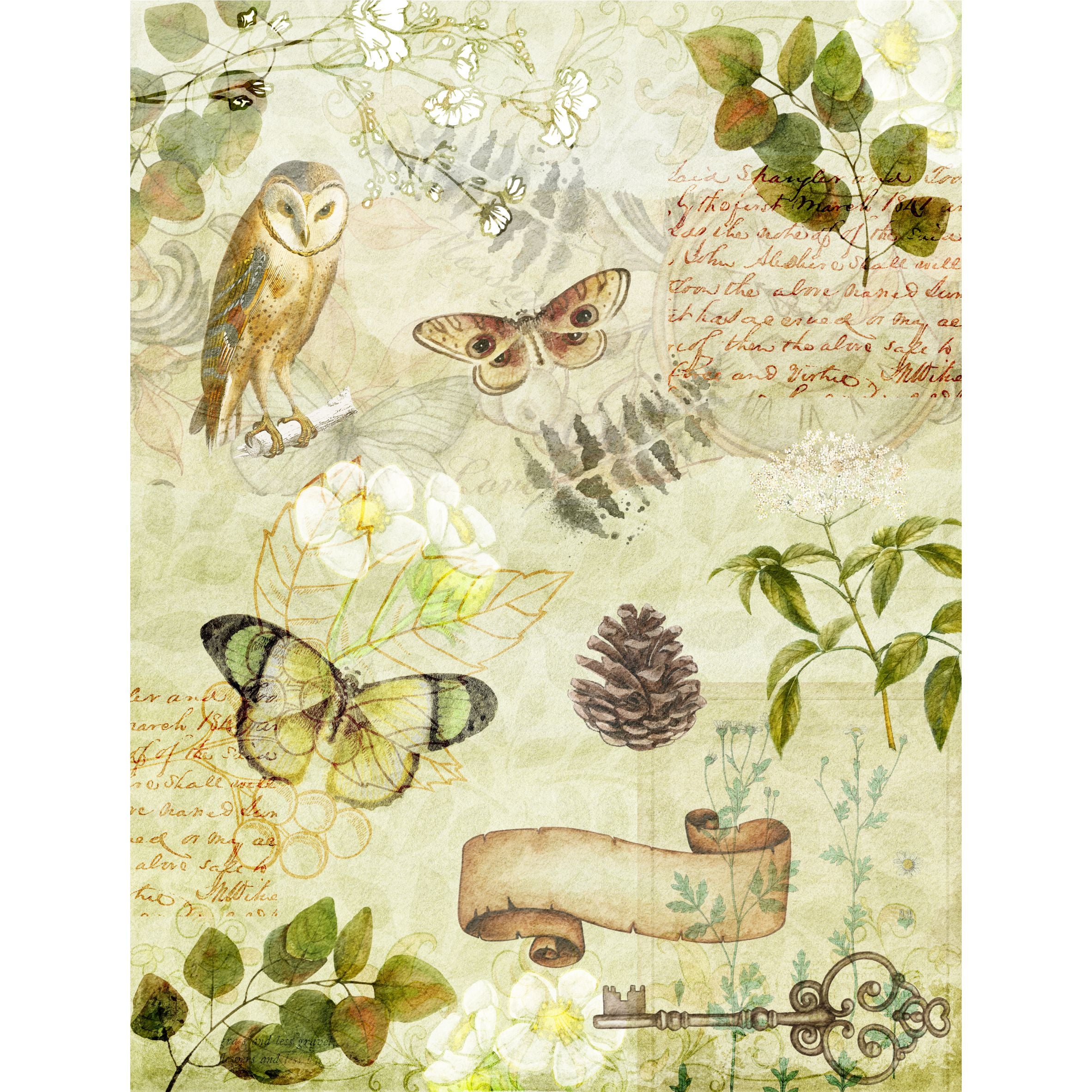 Woodland Rice Paper, 8 x 10.5 inch - for Decoupage Scrapbooking Craft