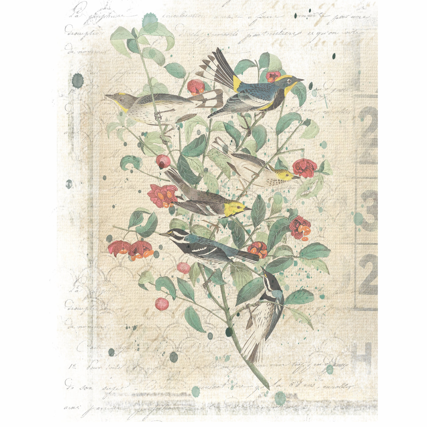 Birds in Branches Overlay Rice Paper- 6 Printed Mulberry Paper Images 30gsm