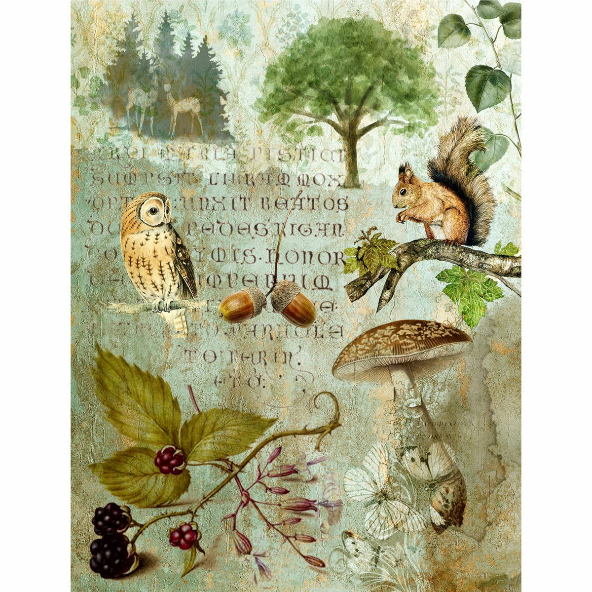 Woodland Theme Mulberry Rice Paper, 20.5 x 26.5cm - 6 x Different Printed Mulberry Paper Images 30gsm Visible Fibres for Decoupage Crafts Mixed Media Collage Art