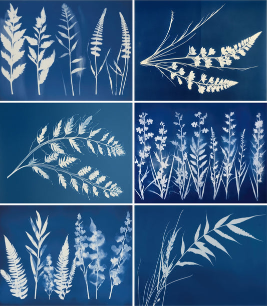 Cyanotype Rice Paper, 20.32 x 26.67 cm - Decoupage Scrapbooking Background Craft