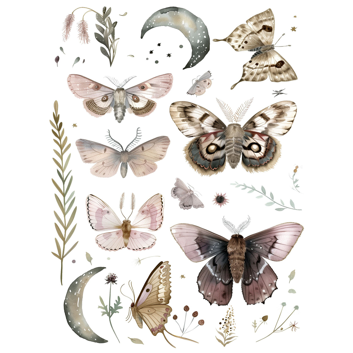 Moths Decoupage Rice Paper, 8 x 10.5 inch - for Decoupage Scrapbooking Craft