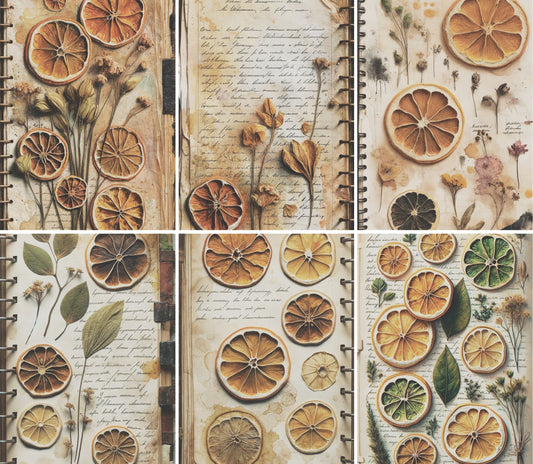 Dried Fruit Rice Paper, 20.32 x 26.67 cm - for Decoupage Scrapbooking Cards Crafts