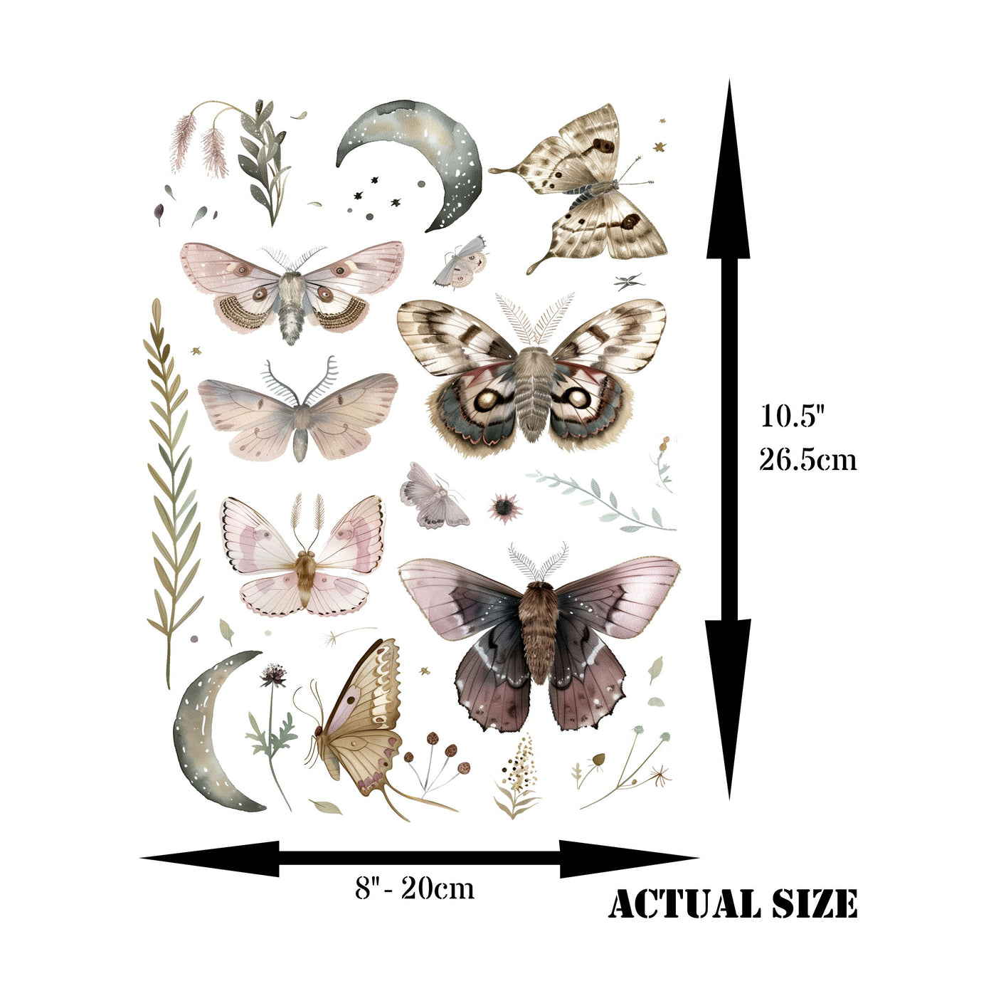 Moths Decoupage Rice Paper, 8 x 10.5 inch - for Decoupage Scrapbooking Craft