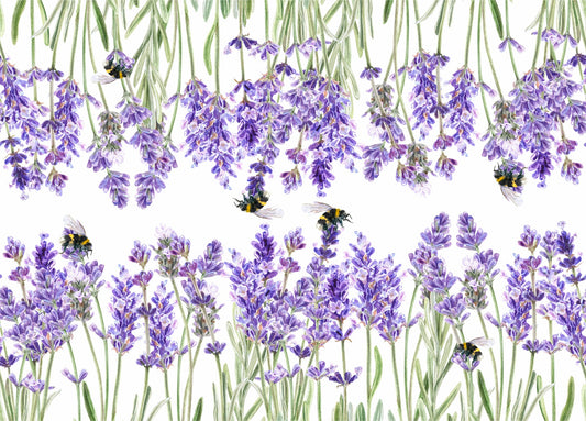 Lavender Border Rice Paper- 8 Sheets Printed Mulberry Paper Border 36gsm