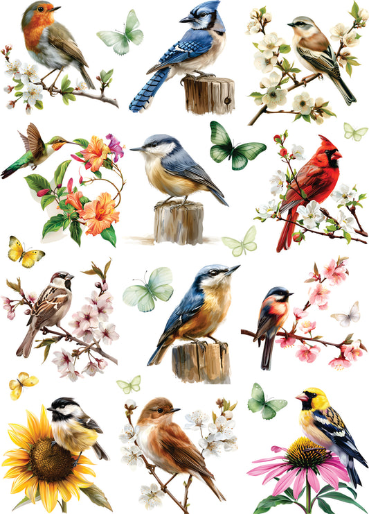 Garden Birds Rice Paper, 29.21 x 40.64 cm - for Decoupage Furniture Crafts