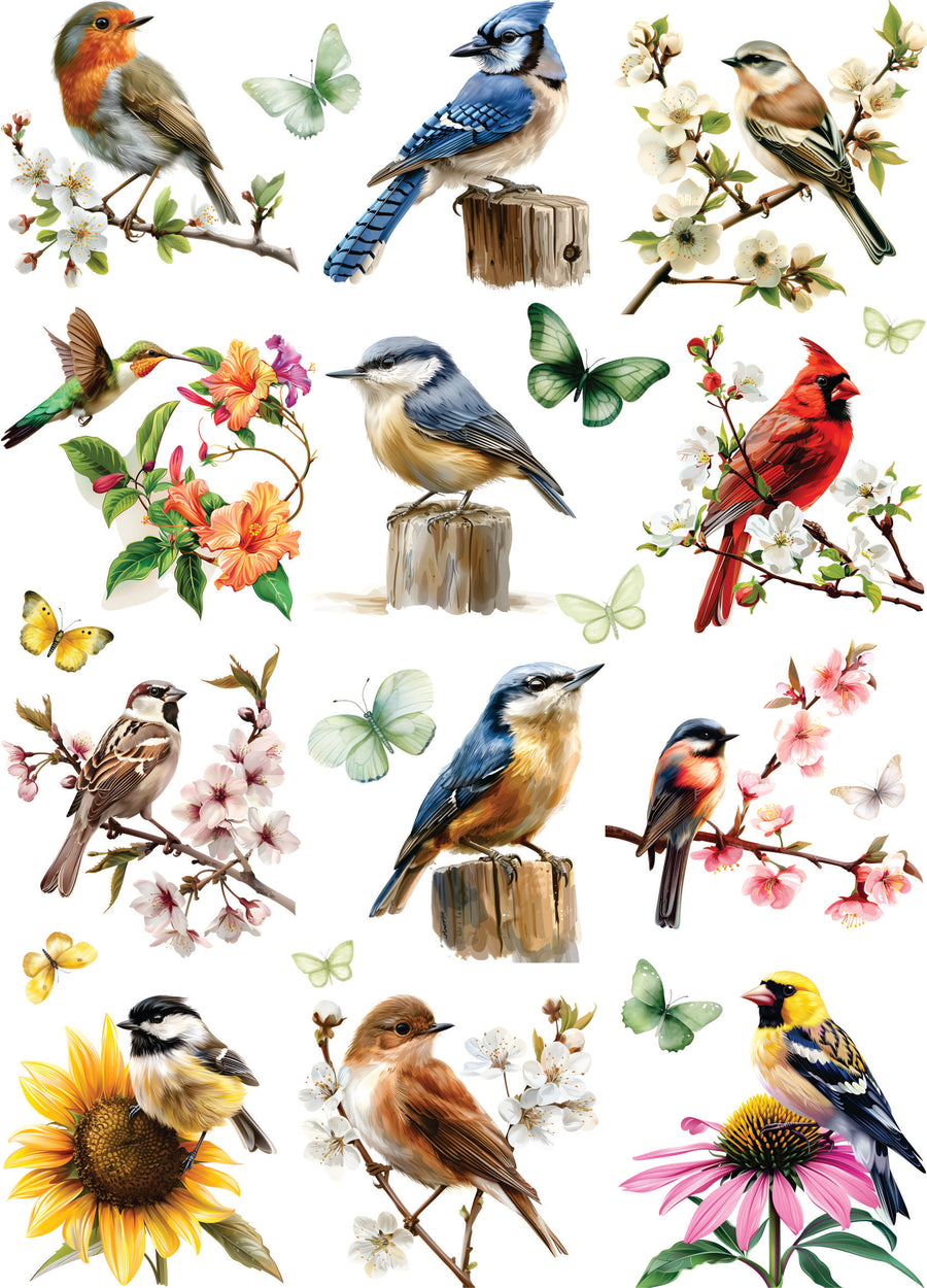 Garden Birds Rice Paper, 11.5 x 16 inch - for Decoupage Furniture Crafts