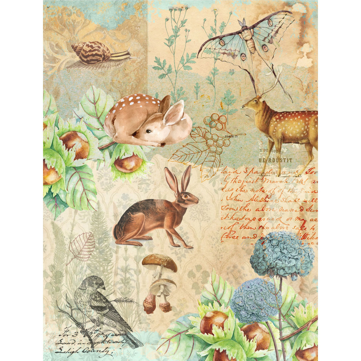 Woodland Rice Paper, 20.32 x 26.67 cm - for Decoupage Scrapbooking Craft