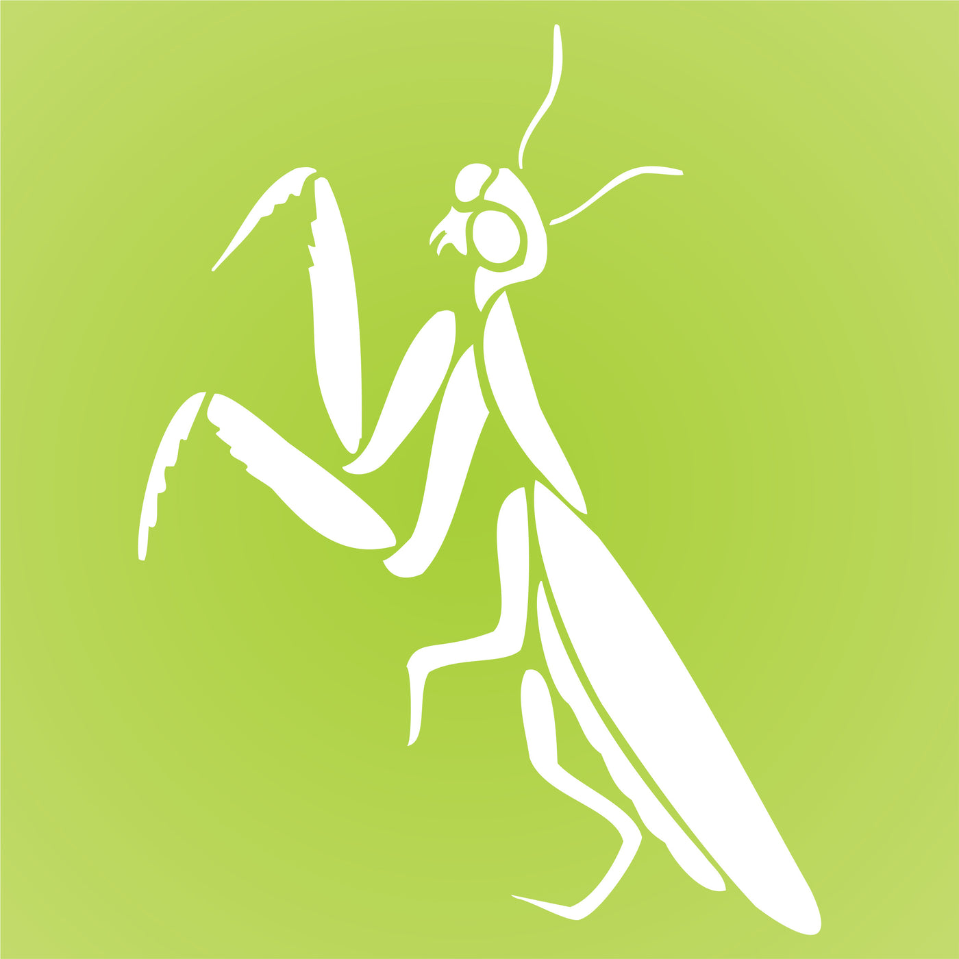 Praying Mantis Stencil, 2.5 x 3 inch - Garden Insect Bug