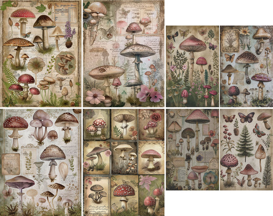 Mushrooms Decoupage Rice Paper, 20.32 x 26.67 cm - for Scrapbooking Cards Crafts
