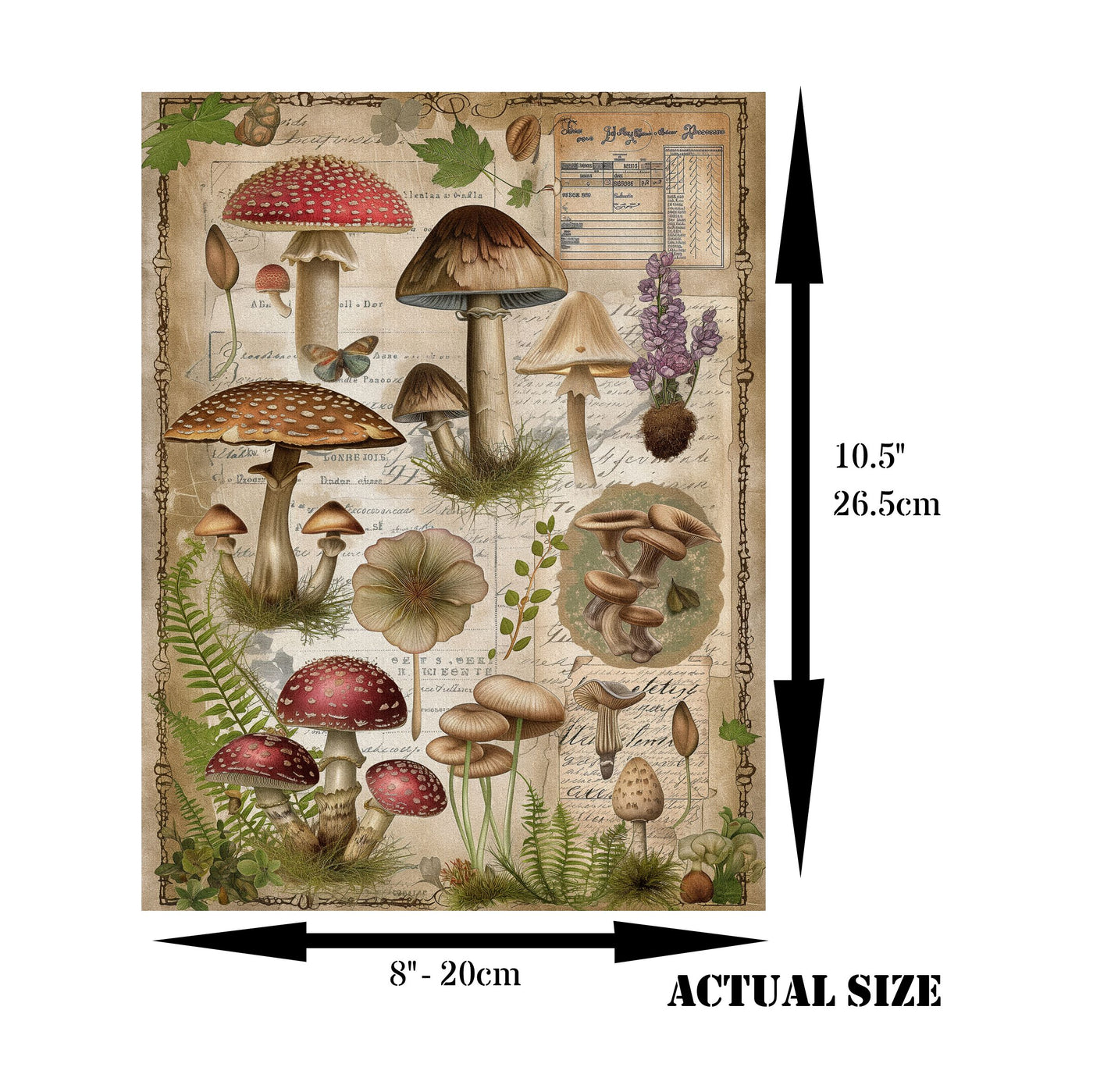 Mushrooms Decoupage Rice Paper, 8 x 10.5 inch - for Scrapbooking Cards Crafts