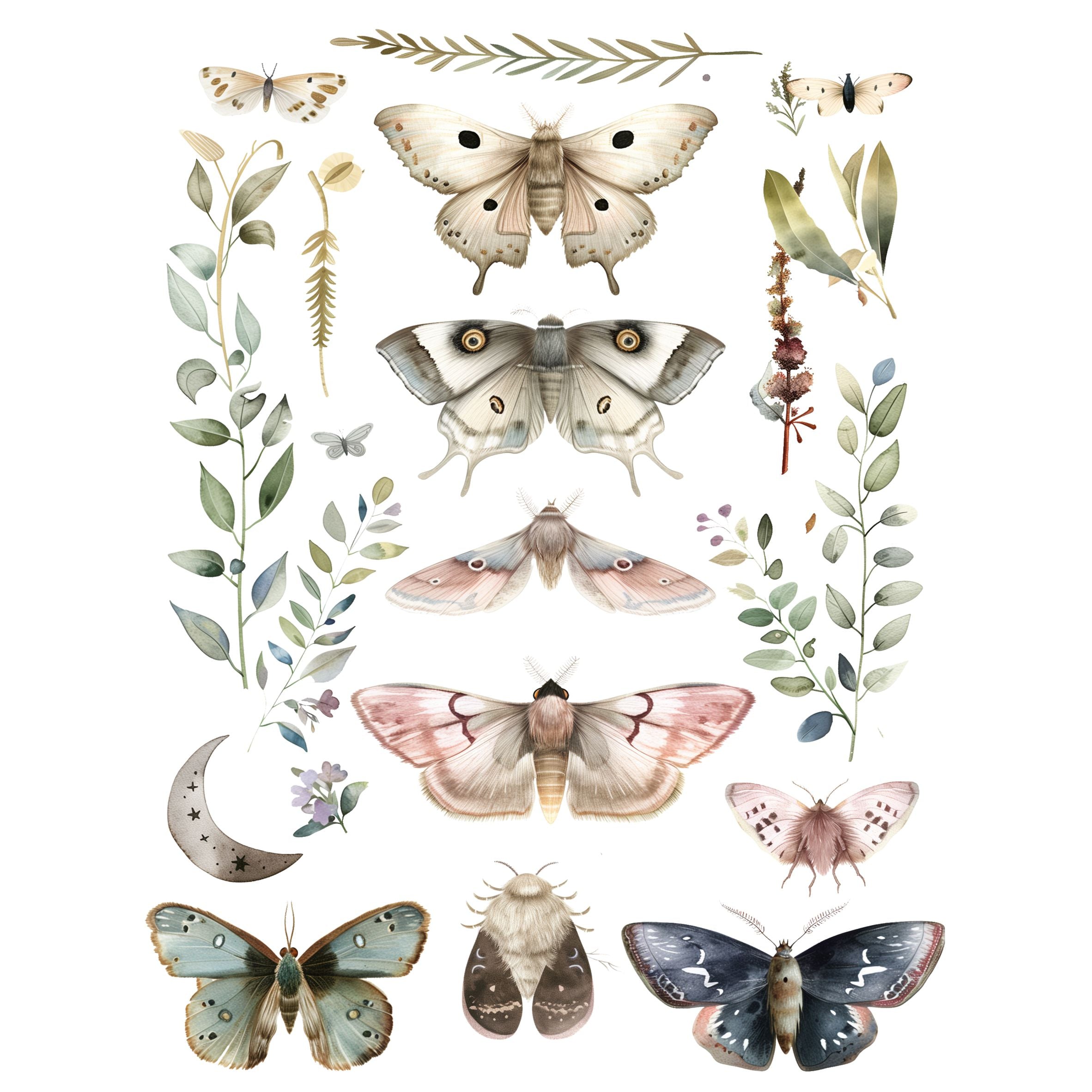 Moths Decoupage Rice Paper, 8 x 10.5 inch - for Decoupage Scrapbooking Craft