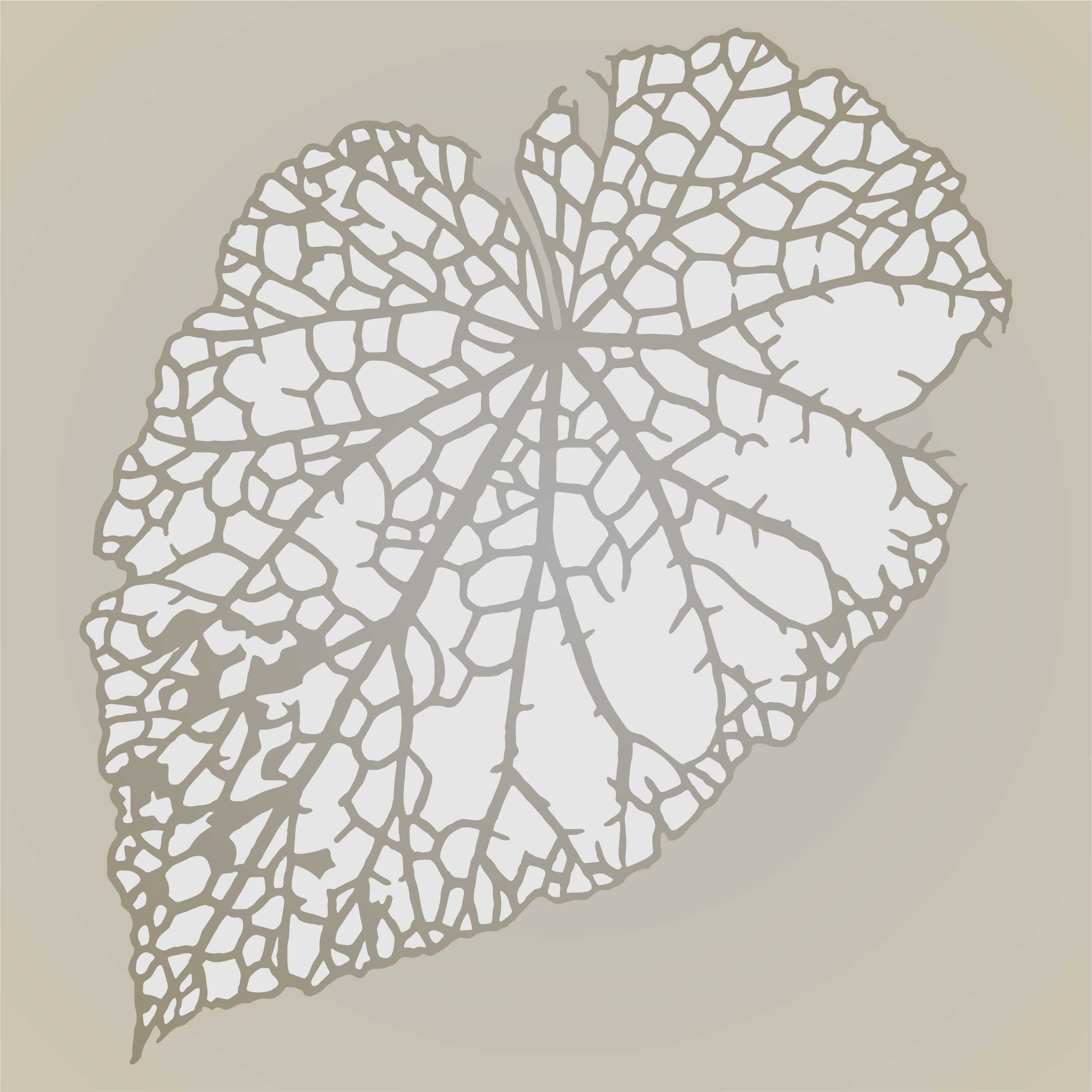 Leaf Skeleton Stencil (2pc) - Layer Dry Skeleton Leaf Art