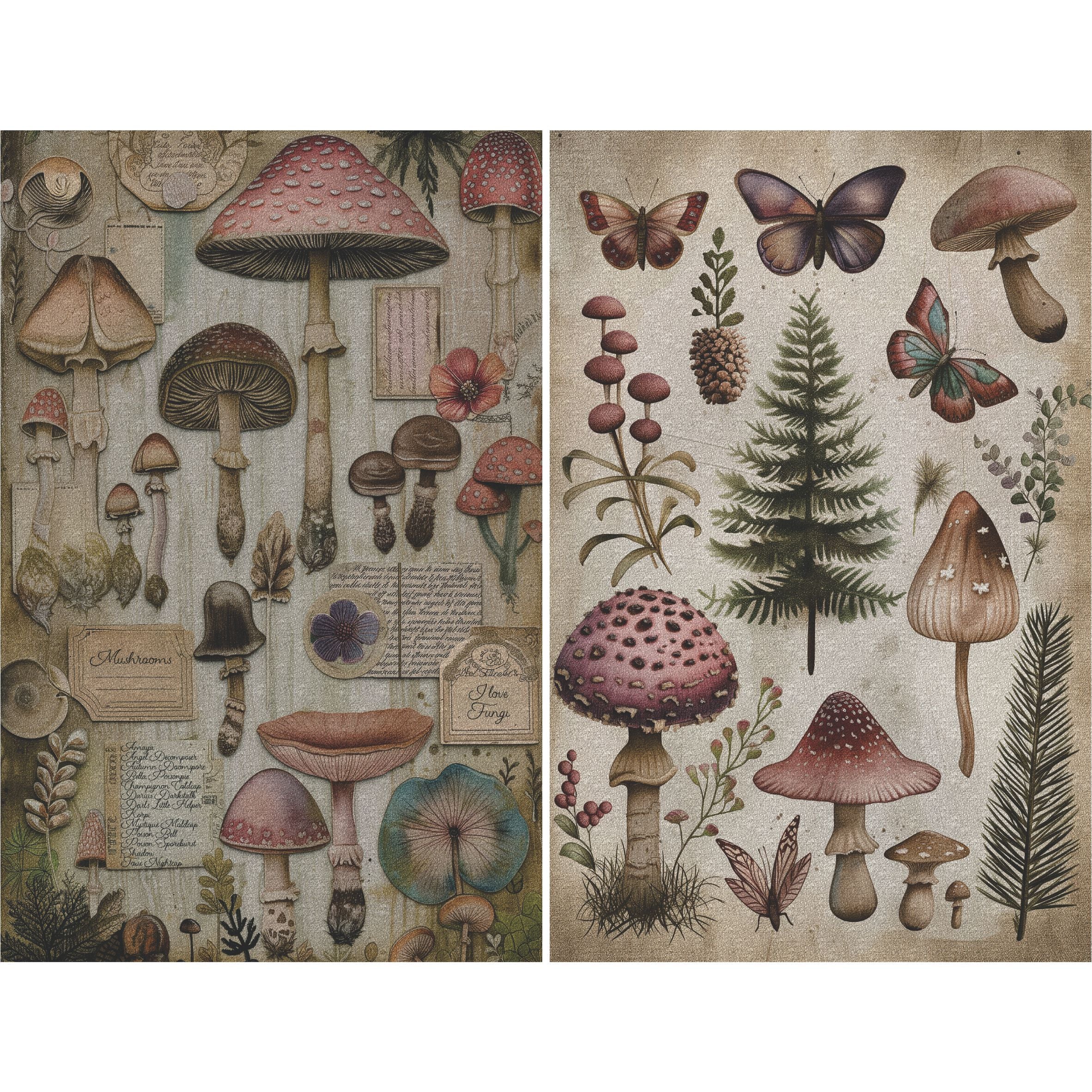 Mushrooms Decoupage Rice Paper, 8 x 10.5 inch - for Scrapbooking Cards Crafts