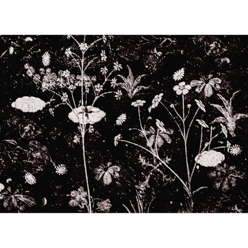 Black Floral Rice Paper, 29.21 x 40.64 cm - for Decoupage Print Cards Crafts