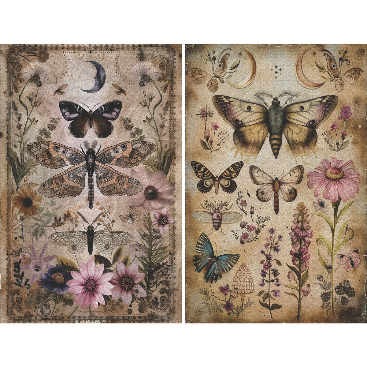 Moths Decoupage Rice Paper, 20.32 x 26.67 cm - for Scrapbooking Cards Crafts