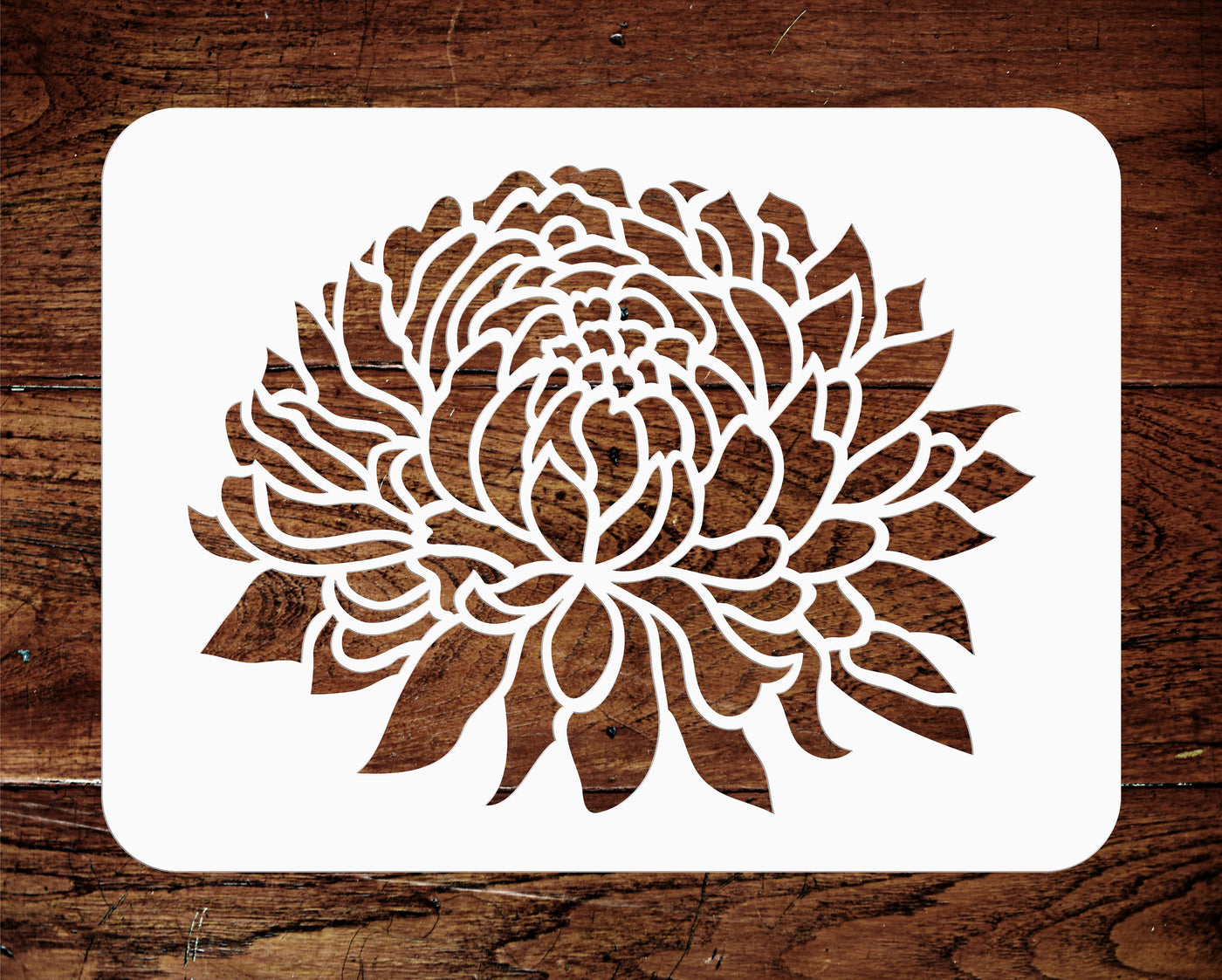 Chrysanthemum Stencil - Large Flower Flora Mums