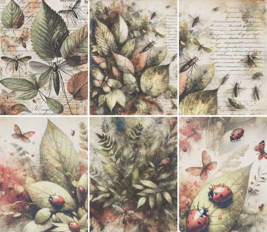 Bugs n Leaves Rice Paper, 20.32 x 26.67 cm - for Decoupage Scrapbooking Cards Crafts