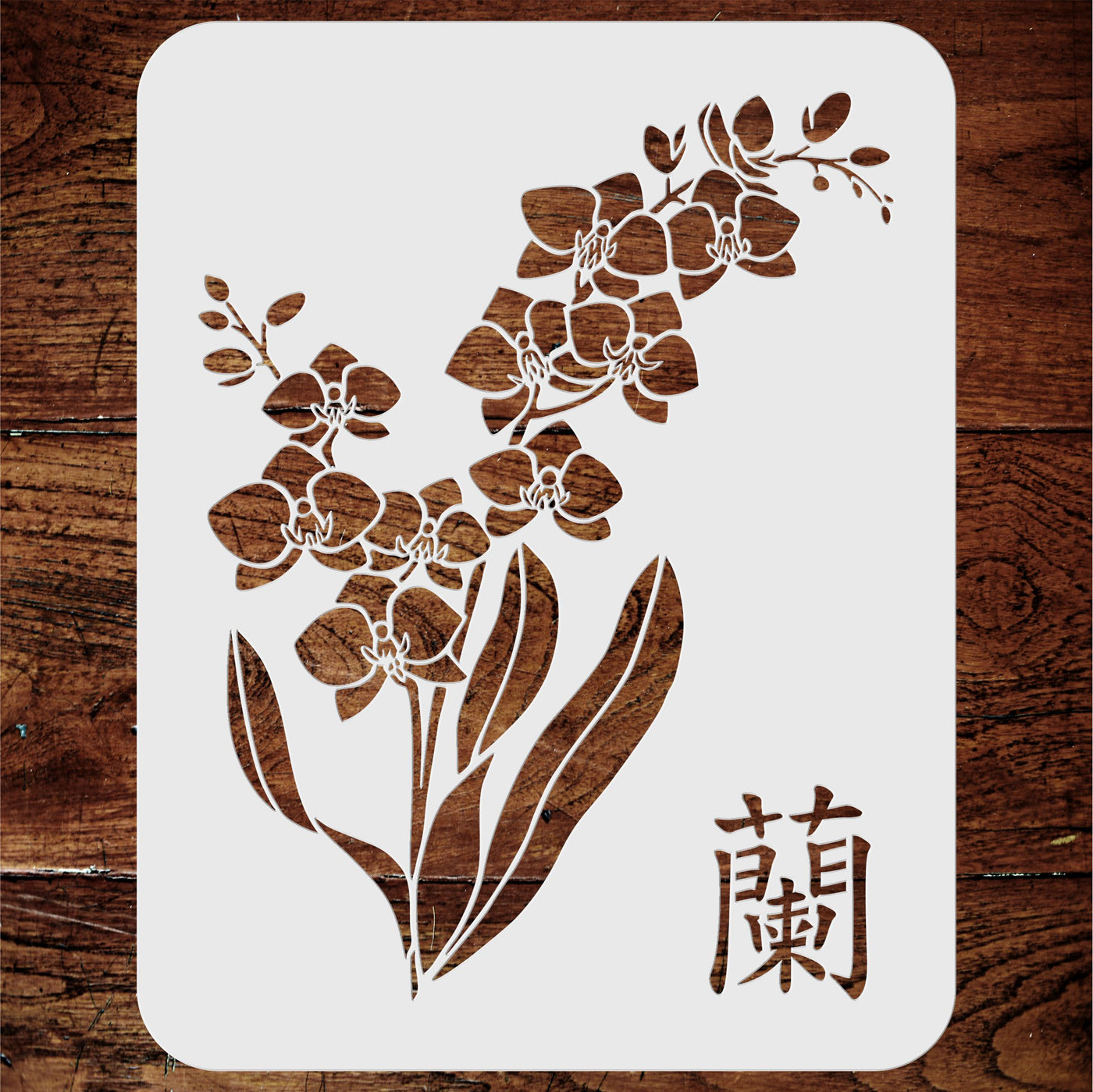 Orchid Stencil - Traditional Chinese Character Paphiopedilum